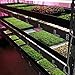 Microgreen Trays No Holes, 5 Pack, Extra Strength Black Shallow 1020 Tray Grow Microgreens Wheatgrass Fodder Sprouting Plants