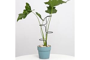 GOOOXIM 3PCS Indoor Plant Support Stakes - Sturdy Metal Trellis for Garden Flowers & Monstera, Durable & Easy to Use, Perfect for Small to Medium Indoor Plants, Ideal Gift for Plant Lovers!