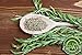 Eat Well Premium Foods Rosemary Leaves 16 oz, Premium Whole Dried Rosemary Leaves Bulk Pack, Dry Rosmarinus Officinalis 100% Natural Vegan Rosemary Seasoning Traditional Mediterranean Ingredients Dry Rosemary