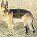 IN HAND Leg Brace for Dogs, Pair of Dog Canine Rear Leg Hock Joint Wraps Protects Wounds As They Heal Compression Brace Heals, Prevents Injuries and Sprains, Dog Rear Leg Hock