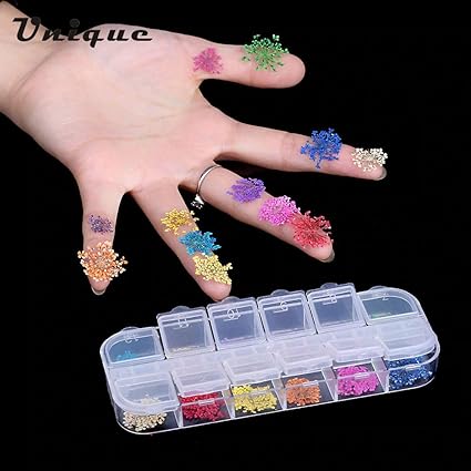 Tamilnadu Shopping Kapmore Nail Art Decoration Fashion Creative Dried Flowers Leaves Decal Nail Sticker (Multicolour) -24 Pieces