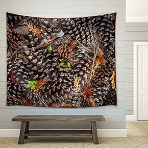 Various Pine Cones on Forest Floor, View from Above - Fabric Wall Tapestry Home Decor - 51x60 inches