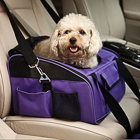 airline approved dog carrier 20 lbs