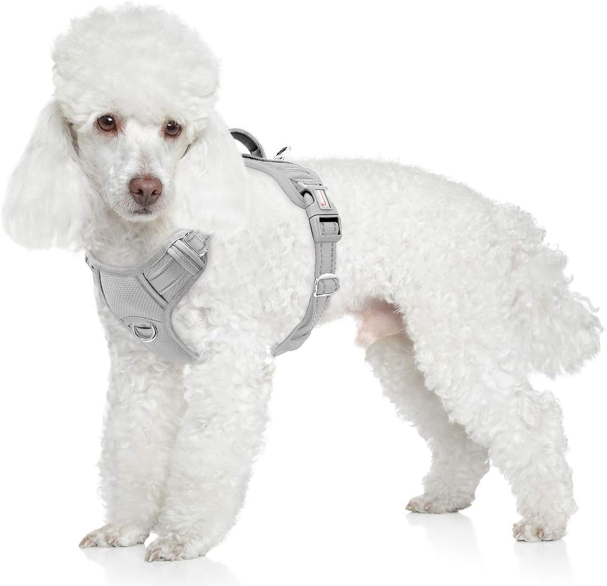 BARKBAY No Pull Dog Harness Front Clip Heavy Duty Reflective Easy Control Handle for Large Dog Walking with ID tag Pocket(Grey,S)
