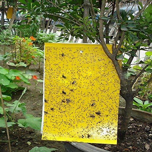 DeepCatch High Effect 30-Pack(Include 30pcs Wire Tie) 10"X8" Double-Sided Insect Yellow Sticky Traps for White Flies, Aphids, Leaf Miner
