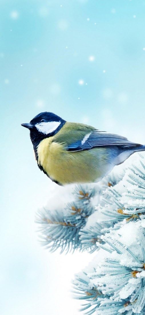 PeelitStickit Bird, Animal Wall Murals ID-178, vinyl, Multi-colour