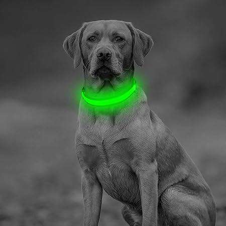 dog collar light rechargeable