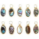 HOBBIESAY Abalone Shell Charms Paua Shell Connectors Round Gemstone Connectors Sea Shell Pendant with Copper Wire Wrapped Links Charm