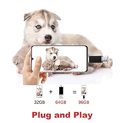 Vansuny 64GB Type C Flash Drive 2 in 1 OTG USB 3.0