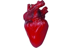 VAULTED SKULLS & CO Bloody Heart Prop | Bloody Realistic Heart Halloween Decoration | Heart Organ Prop | Spooky Heart Decor | Size 7.5" | Red