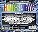 Sing The Broadway Musical HAIRSPRAY (2-Disc Karaoke CDG)
