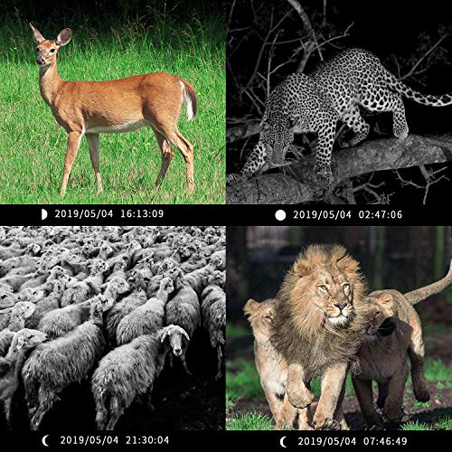 2 Campark+Wildlife+Camera+12MP+Waterproof+Scouting