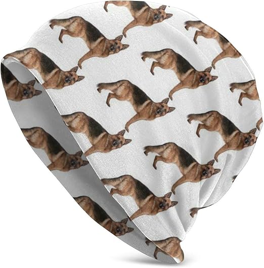 german shepherd skull