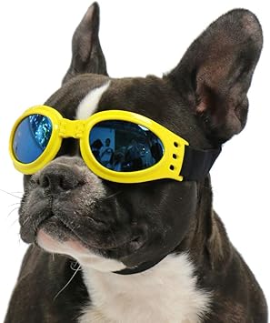 Amazon ペットパラダイス メタリック ゴーグル 黄 ｍ 犬用 サングラス 紫外線対策 散歩 お出かけ 紫外線カット 軽量レンズ くもり止め 耐傷 サイズ調整 ペット用品 ペット用 めがね メガネ ペットパラダイス サングラス 通販