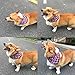 Chiachi Pet Dog Bandana Scarf Pack-SCENEREAL Triangle Bibs Reversible Plaid Printing Kerchief Set Accessories for Small to Large Dogs Cats Pets