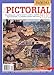 THE PICTORIAL RUG; Everything you need to know to hook a realistic, impressionistic, or primitive pi by Jane E. Halliwell