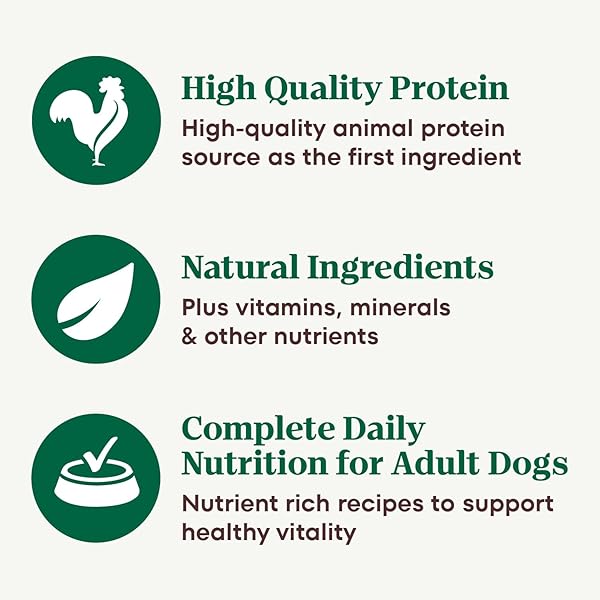 NUTRO HEARTY STEW CANNED WET DOG FOOD, NATURAL GRAIN FREE DOG FOOD WET CUTS IN GRAVY TENDER CHICKEN WITH CARROT & PEA STEW, 12.5 OZ. CANS (12 COUNT, PACK OF 1)