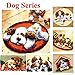 BYT Collections 15 Model Dog Latch Hook Kits Rug Dog023 20 by 20 Inch (1 Pack)