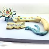 Neuron Model, 2-Parts, 2500x, Medical Brain Nerves Anatomical Human Model
