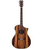 Amazon.com: Bromo BAR 6E Solid Top Parlor Size Acoustic Guitar