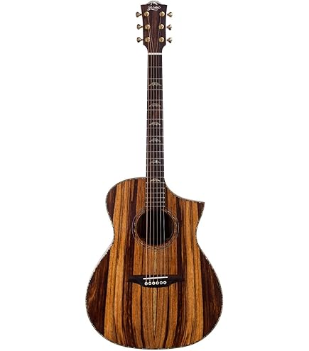 Amazon.com: Bromo BAT 4MCE SG Solid Top Dreadnought Acoustic