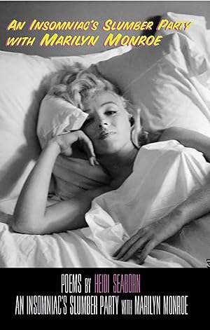 Crazy Sorrow by Vince Passaro