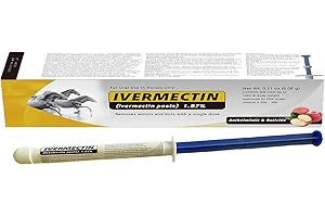 FAYEEY Paste for Horse 1.87% – 6.08g Tube – Apple Flavored –for Horses Up to 1250 lb - 1 Pack