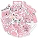Cute Laptop Stickers for VSCO Girls[50PCS] - Pink Cartoon Sticker for Water Bottle Hydro Flask Macbook iPhone Phone Case iPad Bike Bumper Skateboard Luggage Bomb Waterproof DIY Decoration Gift Sticker