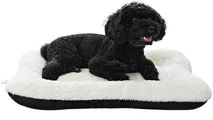 Puppy cushion bed Clearance