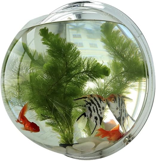 Amazon Com Funnuf Cuenco De Acrilico Para Acuario Montado En