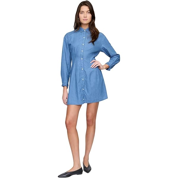 gap denim dress long sleeve Gap Womens Blue Denim Dress Fit & Flare V-Neck Long Sleeve Size Small