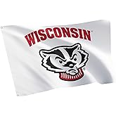 Desert Cactus University of Wisconsin UW Flag - 3 x 5 Feet Badgers Banner, Indoor/Outdoor Durable Fabric, 100% Polyester Design (Style D)