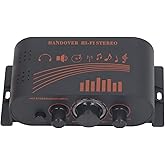 Mini Amp, Stereo Amplifier HiFi Power Amp 2 Channel Speaker Amplifier Mini 40W DC12V Multifunctional Sound Stereo Home Car for Speakers TV Mobile Phones