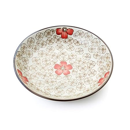 Plato de pasta Sashimi de Sushi Steak, plato de cerámica para ...