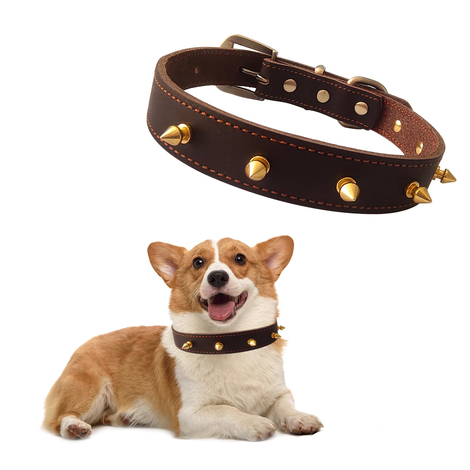 Qianruida Leather Dog Collar with Rivets, Spiked Collar for Dogs and Cats, Anti-Bite Adjustable Individuality Collar for Medium Size, Pit-Bull, English Bulldog – M