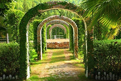 Photo Wall Mural Wallpaper- PERGULA GARDEN - 137.8”x102.4”-350x260cm- in 7 Strips 50x260cm DIGITAL print-Sea Ocean Forest Flowers City Paris London America Panorama Stones-97021