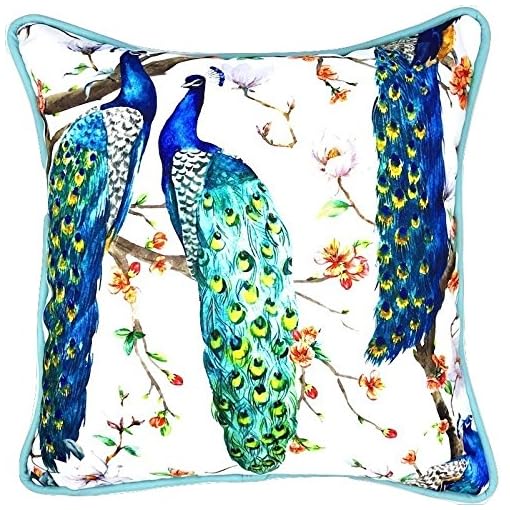 Sea By Day Outdoor Decorative Throw Pillow For Patio Furniture Weather Resistant 20x20 Peacock Snow Flurry Beachfront Decor