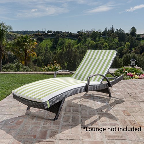 Christopher Knight Home 619 Salem Chaise Outdoor Lounge