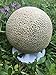 KYC Plastic 12Pack- Melon Cradle-Plant & Garden Support Protector for Watermelon, Squash, Pumpkin - Holds up to 20 lbs