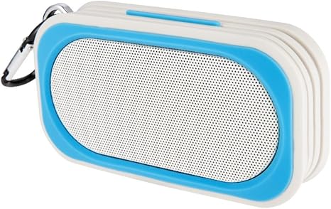 portable gym speaker