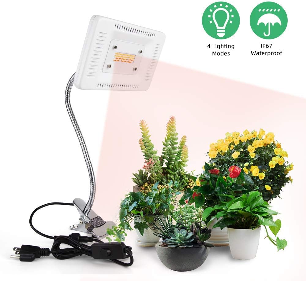 FECiDA LED Plant Grow Light Clip On, Premium 100W Sunlike Full Spectrum Grow Lamp, Gooseneck Desk Plant Light for Indoor Plant, Bonsai, Succulent, Vegetable, 4 Models Cycle by Switching ON/OFF Switch