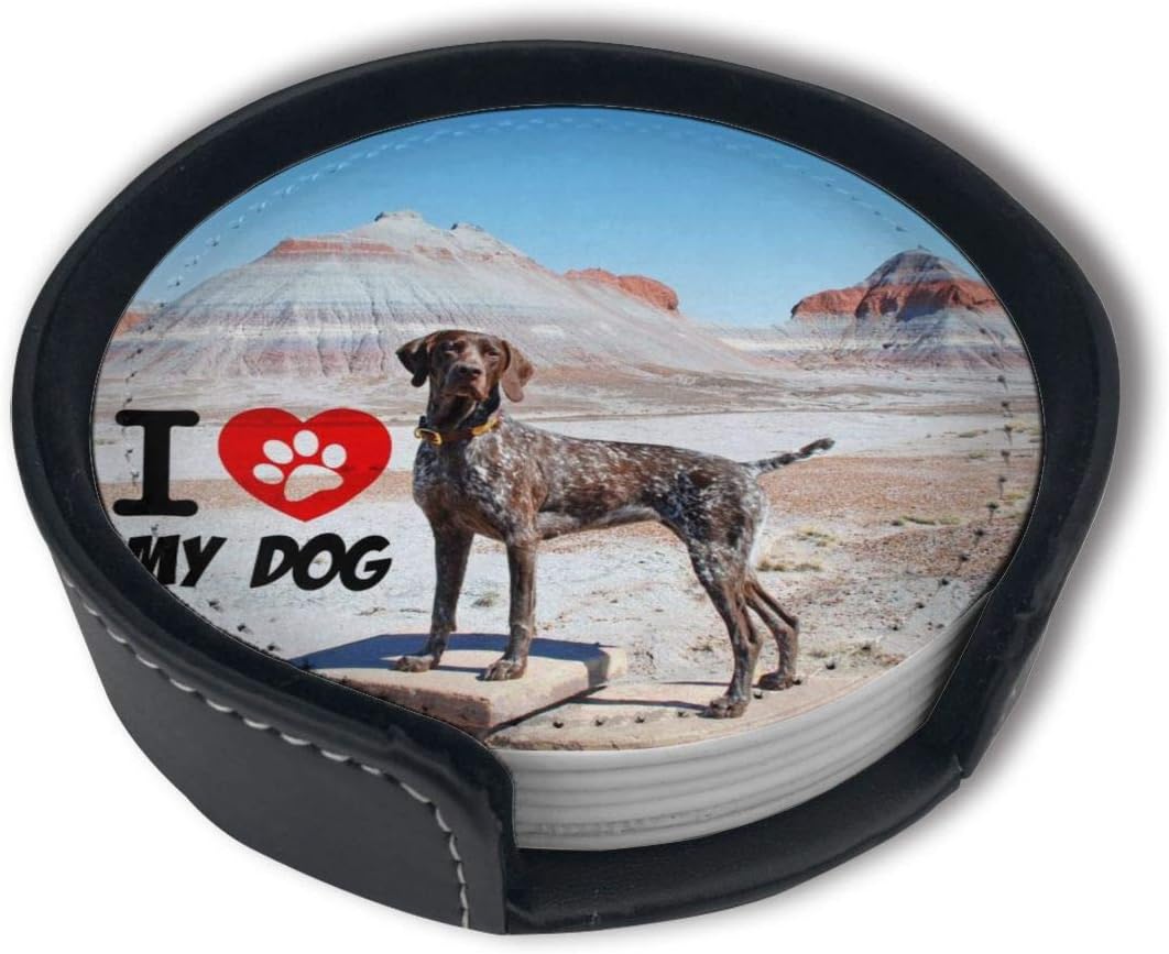 Amazon Com Vrgj Hd German Shorthaired Pointer Dog Premium Pu