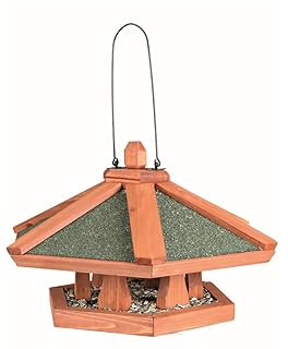 Luxury Bird House Xxl Bird House Made Of Wood Oak For Garden