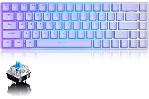 Wired 60% Mechanical Gaming Keyboard, RGB Lights Compact 68 Key Mini Keyboard with Type C Charger and Blue Switch, for Mac Wi