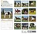 National Geographic Horses 2017 Wall Calendar