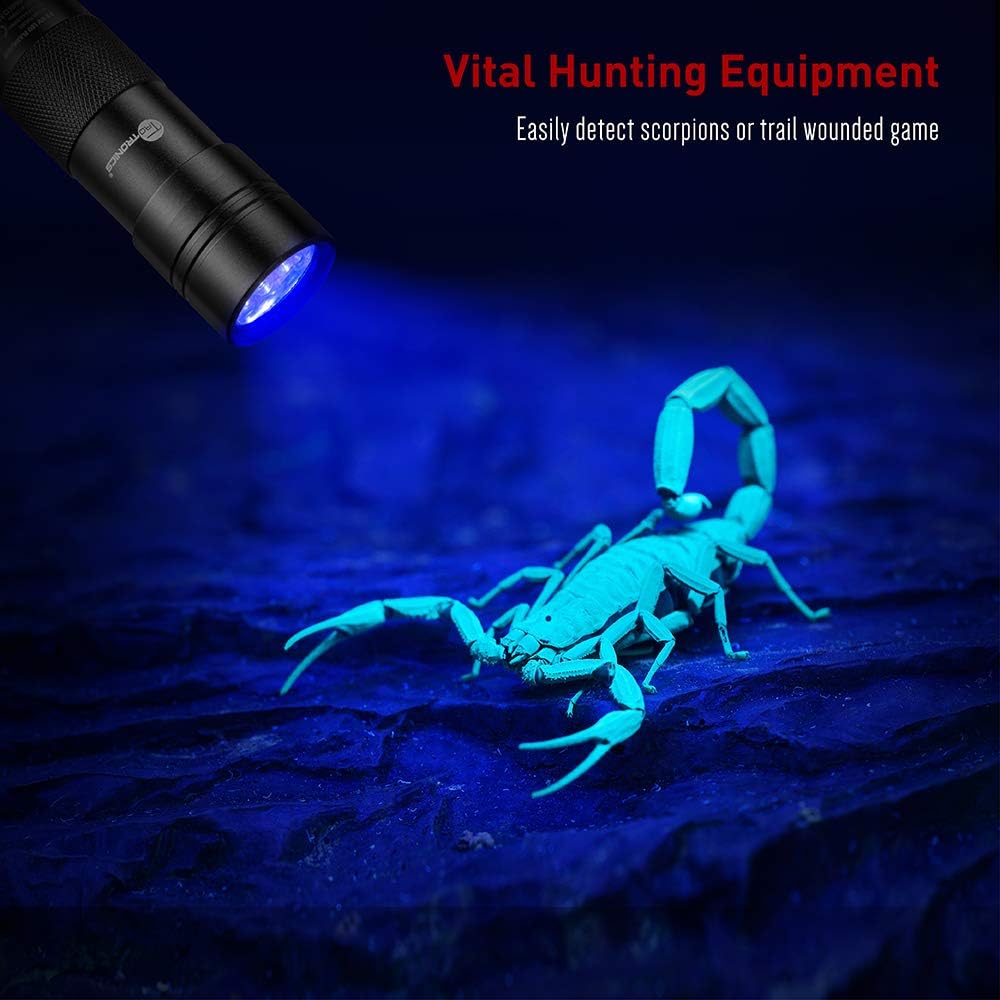 TaoTronics Black Light, 12 LEDs 395nm UV Blacklight Flashlights Detector for Pets Urine and Stains with 3 Free AAA Batteries: Pet Supplies
