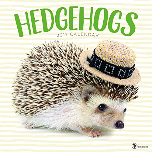 2017 Hedgehogs Wall Calendar by