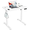 ERGOMAKER Electric Standing Desk, 31.5" x 23.6" Height Adjustable Sit Stand Desk with Splice Board for Home Office, Computer Desk Memory Preset (White Frame, White Desktop)