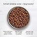 Rachael Ray Nutrish Premium Natural Dry Cat Food, Chicken & Brown Rice Recipe, 6 Pounds