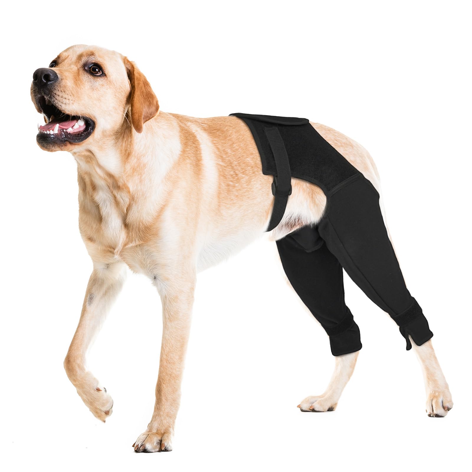 Photo 1 of Pawfun Dog Rear Leg Sleeve to Stop Licking, Breathable Anti-Slip Recovery Sleeve for Wound Protection After ACL/TPLO Surgery, Hot Spots, Lick Granulomas–Dog Cone Alternative for Leg Healing,XXL